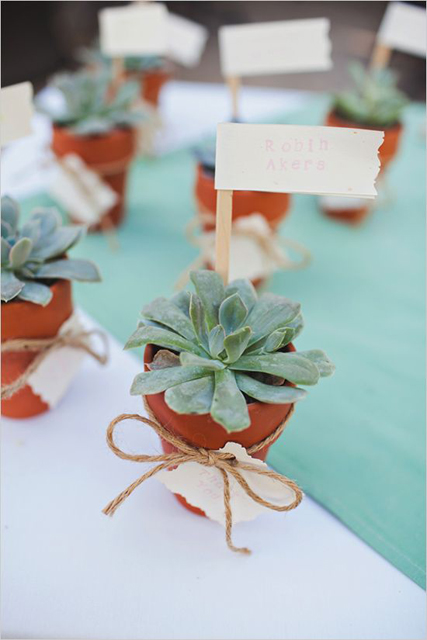 decorating with succulents (1).jpg
